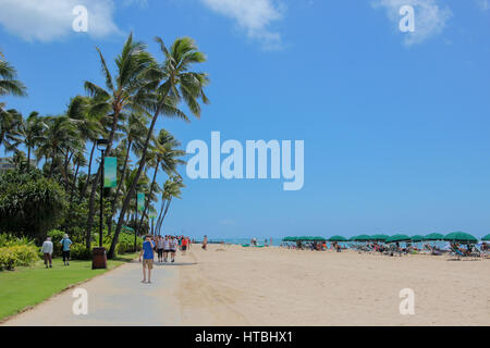 Balade autour de Wakiki beach situé à Honolulu, Hawaï qui a considéré comme l'une des meilleures îles du monde. De superbes plages, météo incroyable Banque D'Images