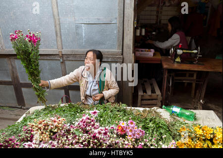 Myanmar (ex-Birmanie). Nyaung Shwe. L'état Shan. Marché. Vendeuse de fleurs Banque D'Images