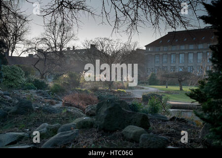 Soleil d'hiver baigne le jardin horticole dans Bulowsvej, Copenhagen, Copenhague, Danemark. Une oasis verte. Banque D'Images