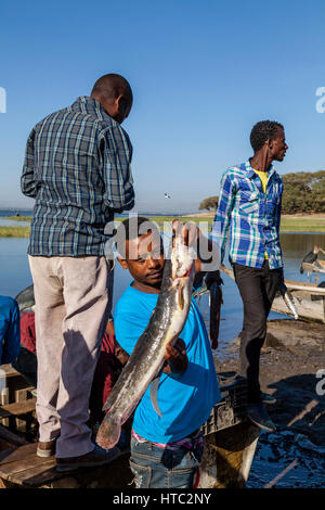 Les pêcheurs locaux vendent leur prise de leurs bateaux au marché aux poissons, sur les rives du lac Awassa, Ethiopie Banque D'Images