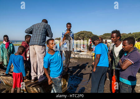 Les pêcheurs locaux vendent leur prise de leurs bateaux au marché aux poissons, sur les rives du lac Awassa, Ethiopie Banque D'Images