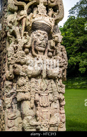 Stella sculpté dans les ruines mayas - Site archéologique de Copan, Honduras Banque D'Images