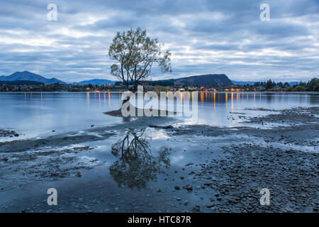 Wanaka, Otago, Nouvelle-Zélande. Vue d'ensemble des Roys Bay à l'aube, willow tree emblématique reflète dans l'eau encore sur les rives du lac Wanaka. Banque D'Images