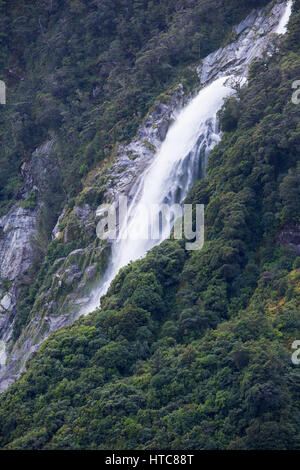 Milford Sound, Fiordland National Park, Southland, Nouvelle-Zélande. Lady Bowen Falls après de fortes pluies. Banque D'Images