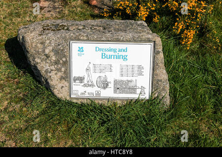 Un panneau à l'étain Porthmeor stamps avec son système buddle bien conservé sur la vinaigrette et la combustion pour produire de l'étain, Cornwall, England, UK Banque D'Images