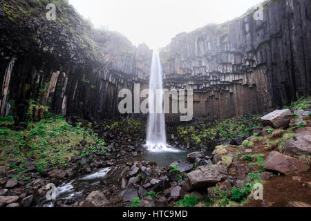 Célèbre cascade Svartifoss. Un autre nommé Black de l'automne. Situé dans le parc national de Skaftafell, Vatnajokull, Islande. Banque D'Images