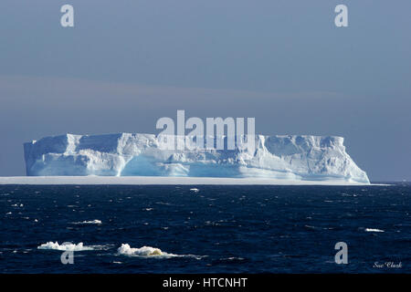 Immense iceberg dans l'Antarctique. Ce type est appelé un iceberg tabulaire table pr. Ces rompre la plate-forme de glace au bord du continent. Banque D'Images