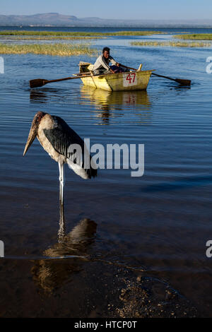 Un pêcheur local renvoie au "marché aux poissons" sur les rives du lac Awassa, à l'aube après la pêche toute la nuit sur le lac, le lac Awassa, Ethiopie Banque D'Images