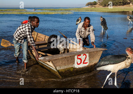 Les pêcheurs locaux Revenir à l' Marché de poissons sur les rives du lac Awassa, à l'aube après la pêche toute la nuit sur le lac, le lac Awassa, Ethiopie Banque D'Images