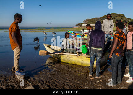 Les pêcheurs locaux vendent leur prise de leurs bateaux au marché aux poissons, sur les rives du lac Awassa, Ethiopie Banque D'Images