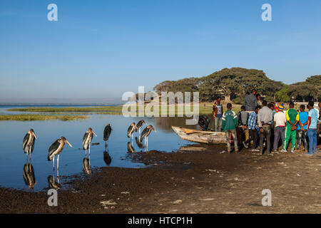 Les pêcheurs locaux vendent leur prise de leurs bateaux au marché aux poissons, sur les rives du lac Awassa observé par certaines Cigognes Marabout faim, lac Awassa, Banque D'Images