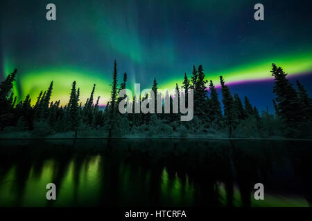 L'Aurora se reflète dans la rivière Clearwater à Delta Junction, Alaska, USA Banque D'Images