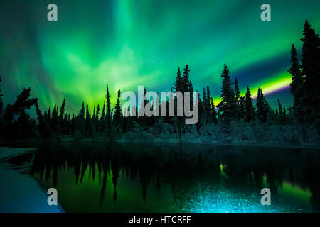 L'Aurora se reflète dans la rivière Clearwater à Delta Junction, Alaska, United States of America Banque D'Images