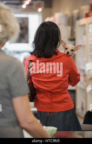 Femme avec chihuahua Banque D'Images