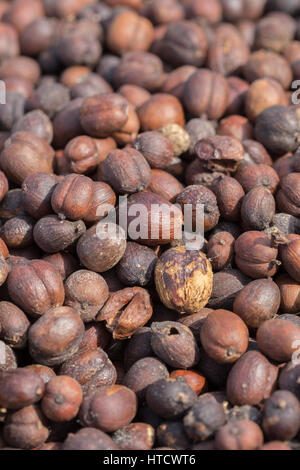 Les grains de café torréfiés background Banque D'Images
