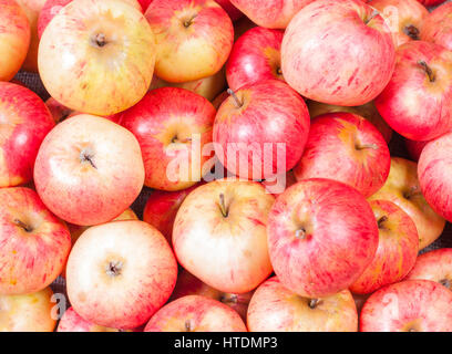 Un tas de pommes rouges récolte fraîche Banque D'Images