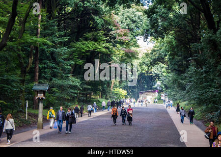 Meiji Jingu, un des plus célèbres et importants temples à Tokyo, Japon. Banque D'Images