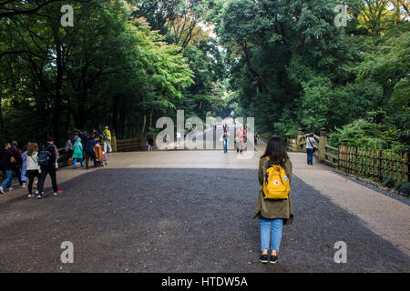 Meiji Jingu, un des plus célèbres et importants temples à Tokyo, Japon. Banque D'Images