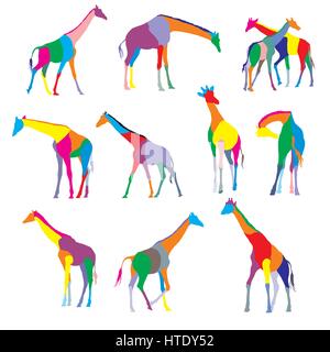 Ensemble de vitraux colorés silhouettes de girafes isolated on white bacground Illustration de Vecteur