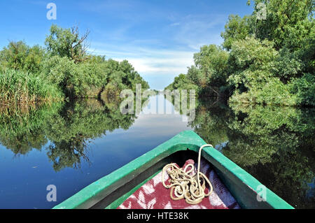 Canal d'eau dans le delta du Danube avec la végétation de marais et forêt inondée Banque D'Images