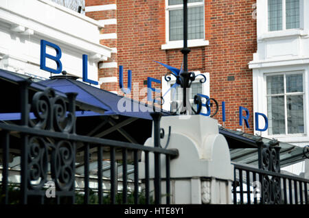 Bluebird restaurant, bar et magasin alimentaire à King's Road, Chelsea, London, UK. Banque D'Images