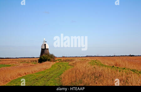 Une vue d'une ferme la voie et sentier passant le drainage partiellement restauré moulin sur les Norfolk Broads à Runham, Norfolk, Angleterre, Royaume-Uni. Banque D'Images