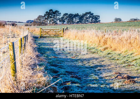 Un matin dans la campagne du Wiltshire. Banque D'Images