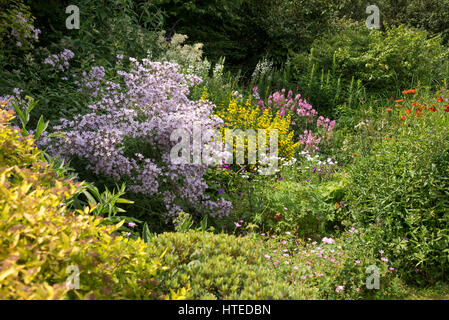 Frontières coloré de fleurs dans un jardin de style. La plantation mixte d'arbustes et vivaces en pleine croissance, la mi-juillet. Banque D'Images