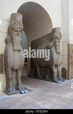 Lamassu du palais de Sargon II. Entrée monumentale. Les Assyriens. 721-705 BC. Le Palais de Khorsabad. (Dur Sharrukin, Iraq) . Musée du Louvre. Paris. Banque D'Images