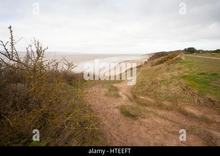 À l'estuaire de la Dee le long des falaises à Thurstaston, Wirral Country Park Banque D'Images