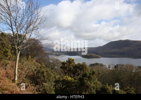 Une vue de près de Parc de l'autre côté Brandelhow Derwent Water vers Keswick dans le Lake District Banque D'Images