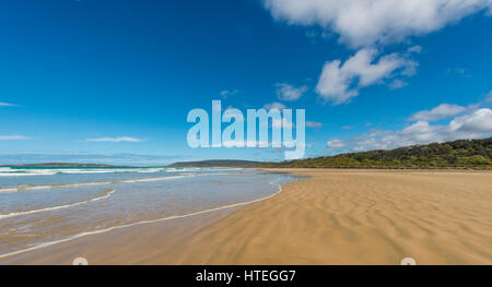 Plage de sable fin de la baie, l'Tautuku, Catlins Région Southland, Southland, Nouvelle-Zélande Banque D'Images