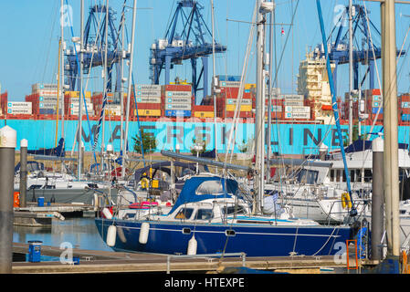 Shotley Suffolk, vue sur la marina à Shotley Gate avec le port de conteneurs de Felixstowe au-delà de l'autre côté de la rivière Orwell, Suffolk, Royaume-Uni Banque D'Images