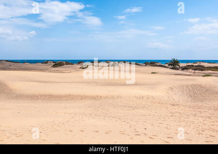 Vue sur la plage, Playa del Inglés (plage anglaise), Gran Canaria, Îles Canaries, Espagne Banque D'Images