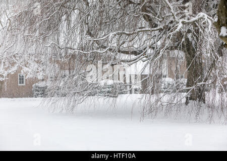 Détail de droit d'une grande propriété derrière un arbre couvert de neige Banque D'Images