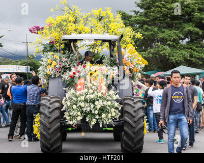 Parada de las Flores Banque D'Images