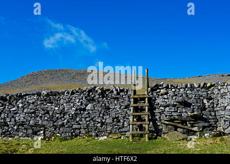 Stile de l'échelle sur mur, Wharfedale, Yorkshire Dales National Park, North Yorkshire, England UK Banque D'Images