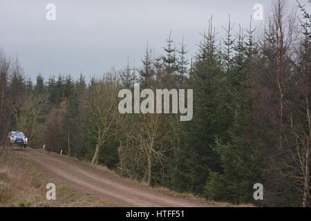 Rallye de voiture sur le rallye Malcolm Wilson Banque D'Images