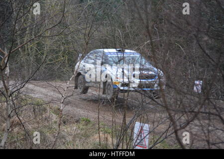 Rallye de voiture sur le rallye Malcolm Wilson Banque D'Images