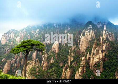 Mist-entourée de montagnes, merveilles géologiques. Banque D'Images