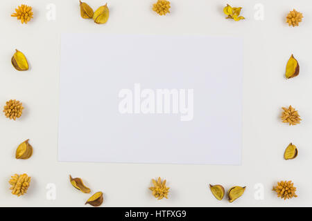 Feuille de papier blanc entouré de fleurs, plantes sèches jaune border frame sur fond blanc. Haut de la vue, télévision lay. Banque D'Images