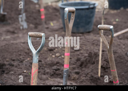 Fourche à bêcher et piques en fleur frontière. Résumé des manches en bois Banque D'Images