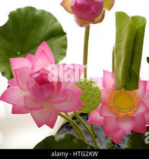 L'argile à la main, fleurs artificielles fleur de lotus avec vert feuille, pétale de rose, diy art produit pour la décoration de la maison, près des illustrations sur fond blanc Banque D'Images