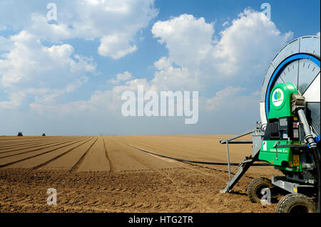 L'agriculture, de l'agriculture, le centre, le pays, la culture, les cultures, l'agriculture, la ferme, les fermes, les champs, les champs, les céréales, grains, vert, se développer, croître, la terre, l'eau, Banque D'Images