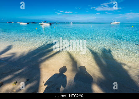 Vue de la plage à l'ombre d'un couple et de palmier sur l'eau Banque D'Images