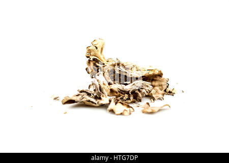 Les champignons Maitake Banque D'Images