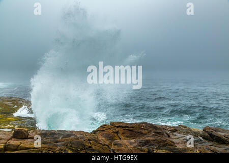 Un matin, le brouillard recouvre la péninsule de Schoodic à Acadia National Park dans le Maine. Banque D'Images