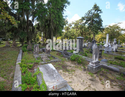 Tombes à Bonaventure Cemetery, Savannah, Géorgie. Banque D'Images