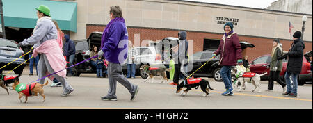 Emporia, États-Unis 11e Mar, 2017. Saint Patrick's day parade dans la communauté agricole rurale, les amis de l'abri pour animaux de parade avec un certain nombre de chiens qui sont prêts pour l'adoption aujourd'hui à Emporia Kansas, 11 mars 2017. Credit : mark reinstein/Alamy Live News Banque D'Images