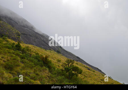 Montagnes brumeuses de Munnar au Kerala, en Inde où le thé est cultivé est l'une des destinations touristiques, surtout pendant l'été Banque D'Images